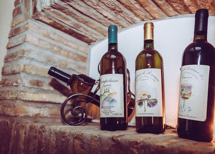 Farm stay La Querciola *